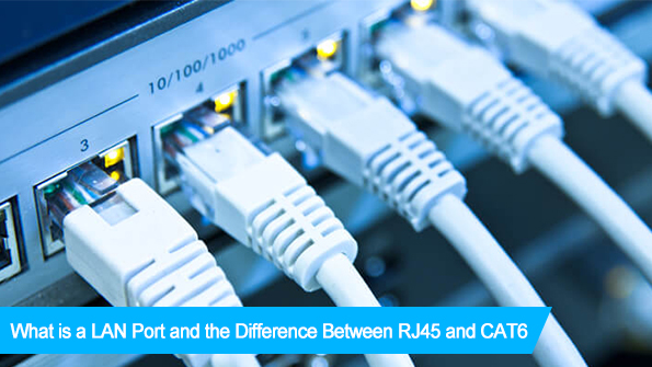 What is a LAN Port and the Difference Between RJ45 and CAT6